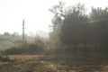 Misty morning cottage meadow wieÃâº widok spokÃÂ³j